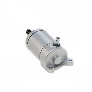 Электростартер двиг. 169FMM (11 зубов)   SM-PARTS